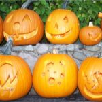 carved pumpkins