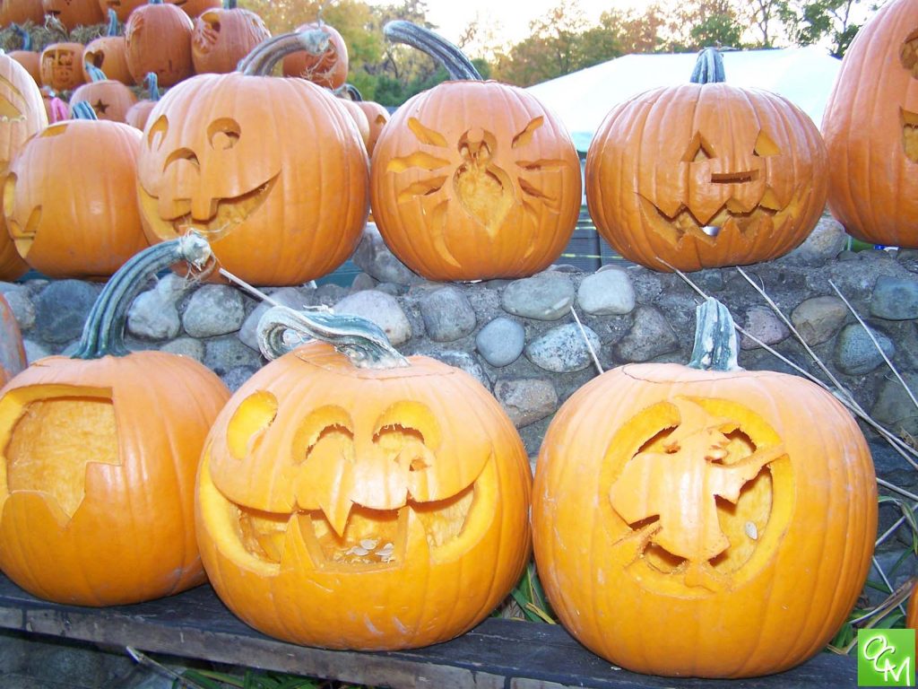 carved pumpkins