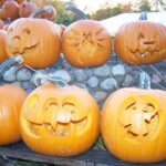 carved pumpkins