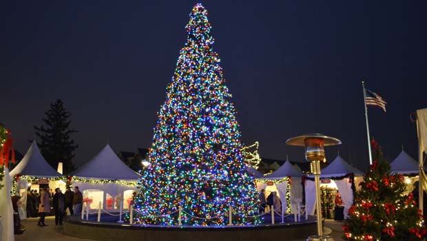 HolidayChristmasTreeBirmingham christmas tree