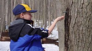 Heritage Park Maple Sugaring in Your Own Backyard @ Heritage Park