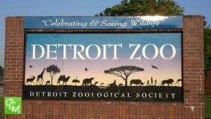 detroit zoo