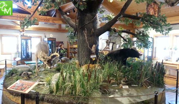 Metro Detroit Nature Centers