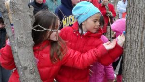 Troy Maple Syrup Time @ Stage Nature Center
