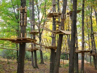 Adventure Park
