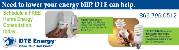 DTE energy savings