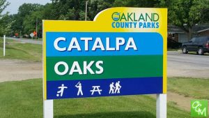 FREE Summer Shindig @ Catalpa Oaks County Park 