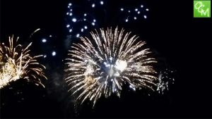 Oakland County Fair Fireworks @ Springfield Oaks County Park
