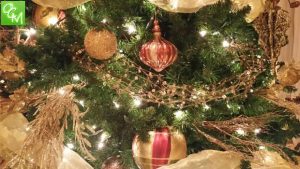 Ferndale Holiday Tree Lighting @ The Dot