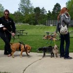 Oakland County Parks Low Cost Pet Vaccination Clinics