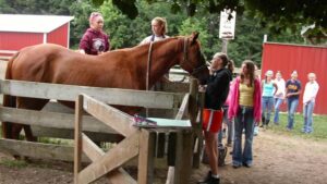Autism Spectrum Summer Therapy