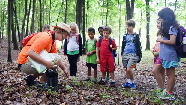 OCParksSummerCamp1NatureKids