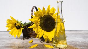 Oil Pulling Health Benefits / Sunflower Seed Oil Pulling