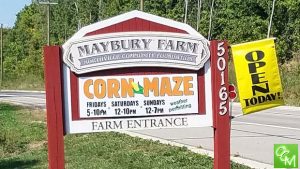 Maybury Farm Corn Maze & Hayrides @ Maybury Farm