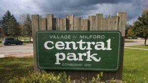 Milford Picnic and Outdoor Movie Nights / Central Park Movie Nights / Milford Picnic