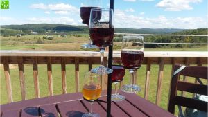 Petoskey Farms Vineyard and Winery Review Pics