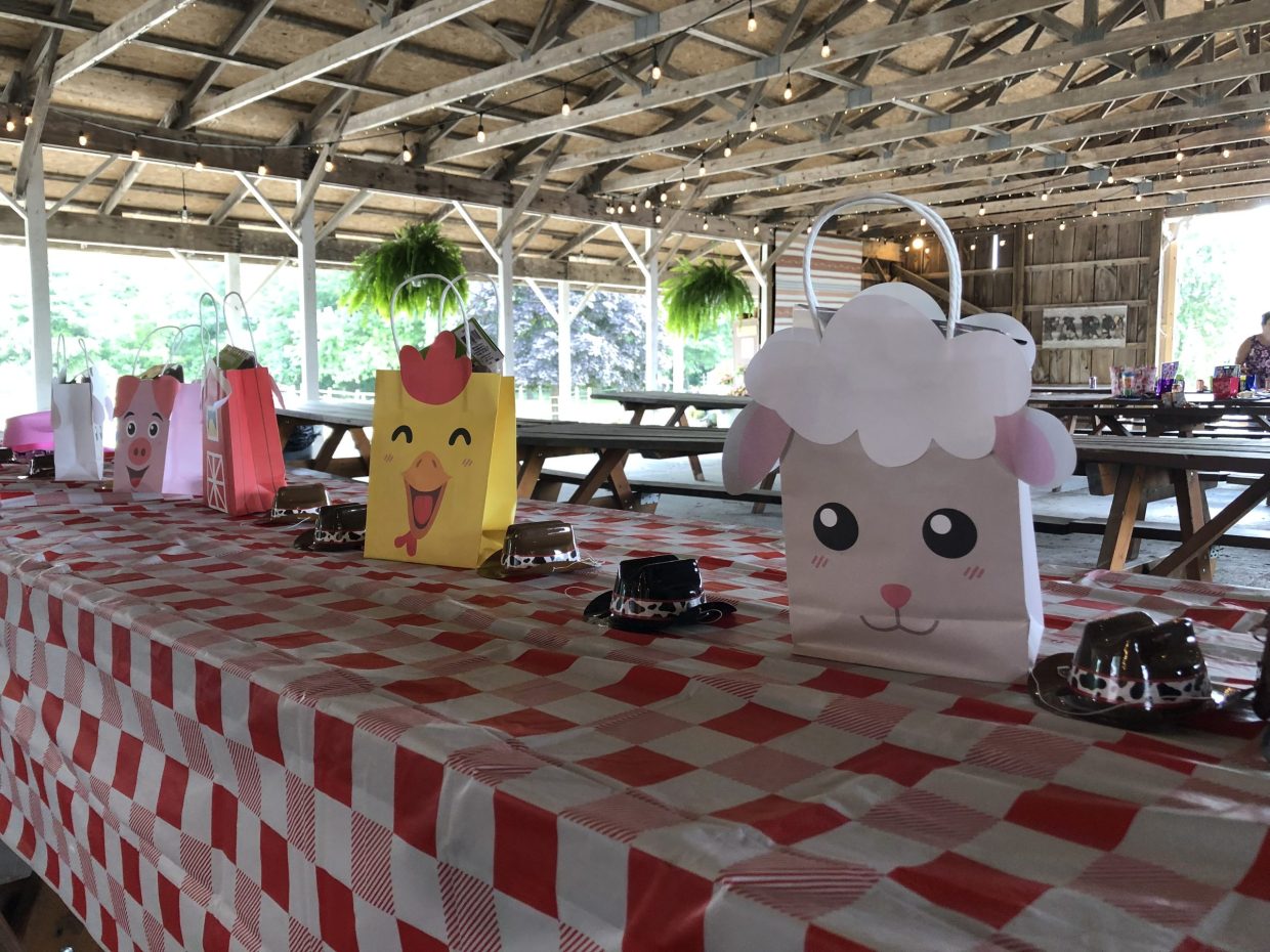 Upland Hills Farm Birthday Parties / Upland Hills Farm Oxford
