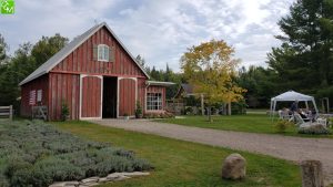 FarmHouse Vineyards Petoskey Review Pics