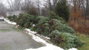 Christmas Tree Recycling Oakland County