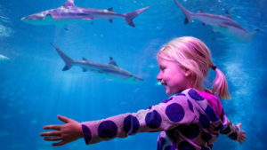 SEA LIFE Aquarium Homeschool Week @ Sea Life Michigan 