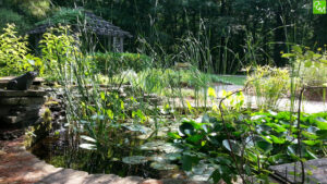 Wint Nature Center Independence Oaks County Park