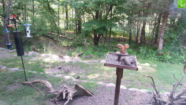 Wint Nature Center Independence Oaks County Park Nature Center