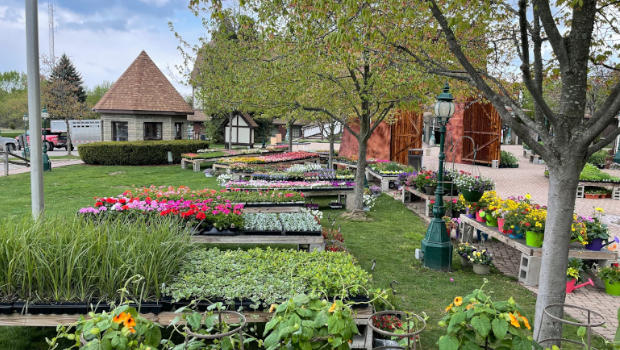 Canterbury Village Events Calendar 2022 Oakland County Moms Canterbury Village Events Calendar 2022 Oakland County Moms