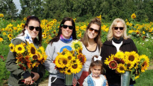 DeBuck’s Sunflower Festival @ DeBuck’s Corn Maze & Sunflower Farm