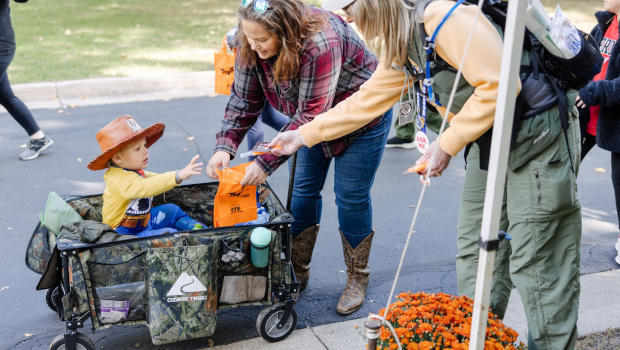 Novi Halloween Events 2024