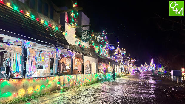 16+ Detroit Christmas Lights