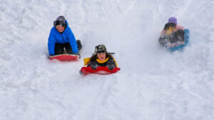 Beverly Park Sled Hill / Beverly Park Sledding / Beverly Hills Sledding