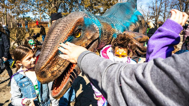 Dino Stroll Tickets Contest
