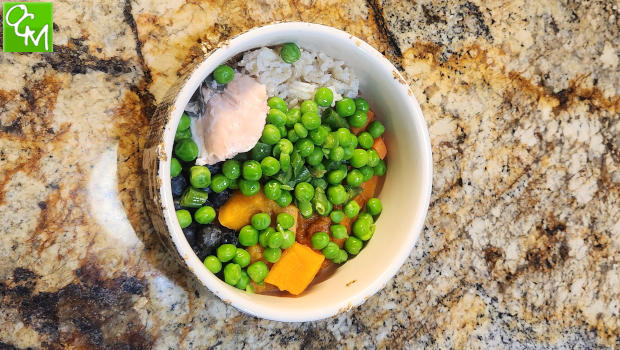 Dog Food Recipes for Food Allergies