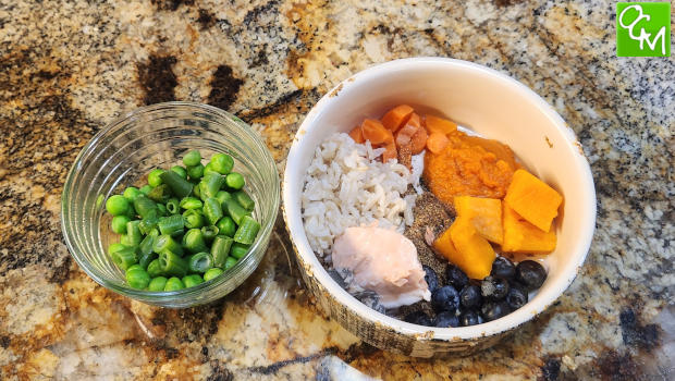 Make Your Own Dog Food Recipe