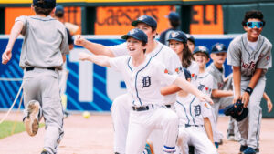 Detroit Tigers Baseball Camps Coupon / Detroit Tigers Youth Baseball Camps Registration Discount