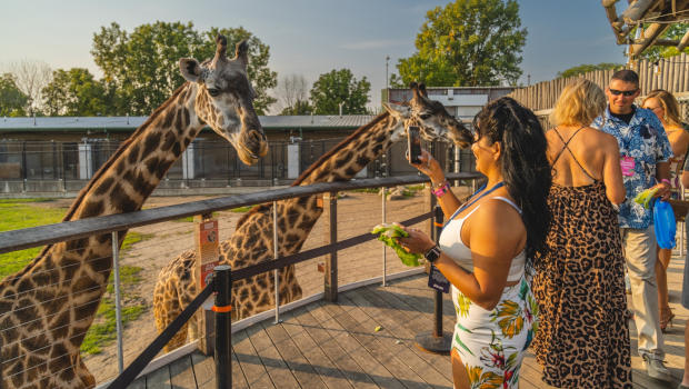 Toledo Zoo Tickets Contest