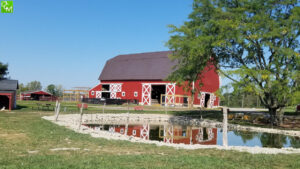 Maybury Farm Great Fall Festival 2024