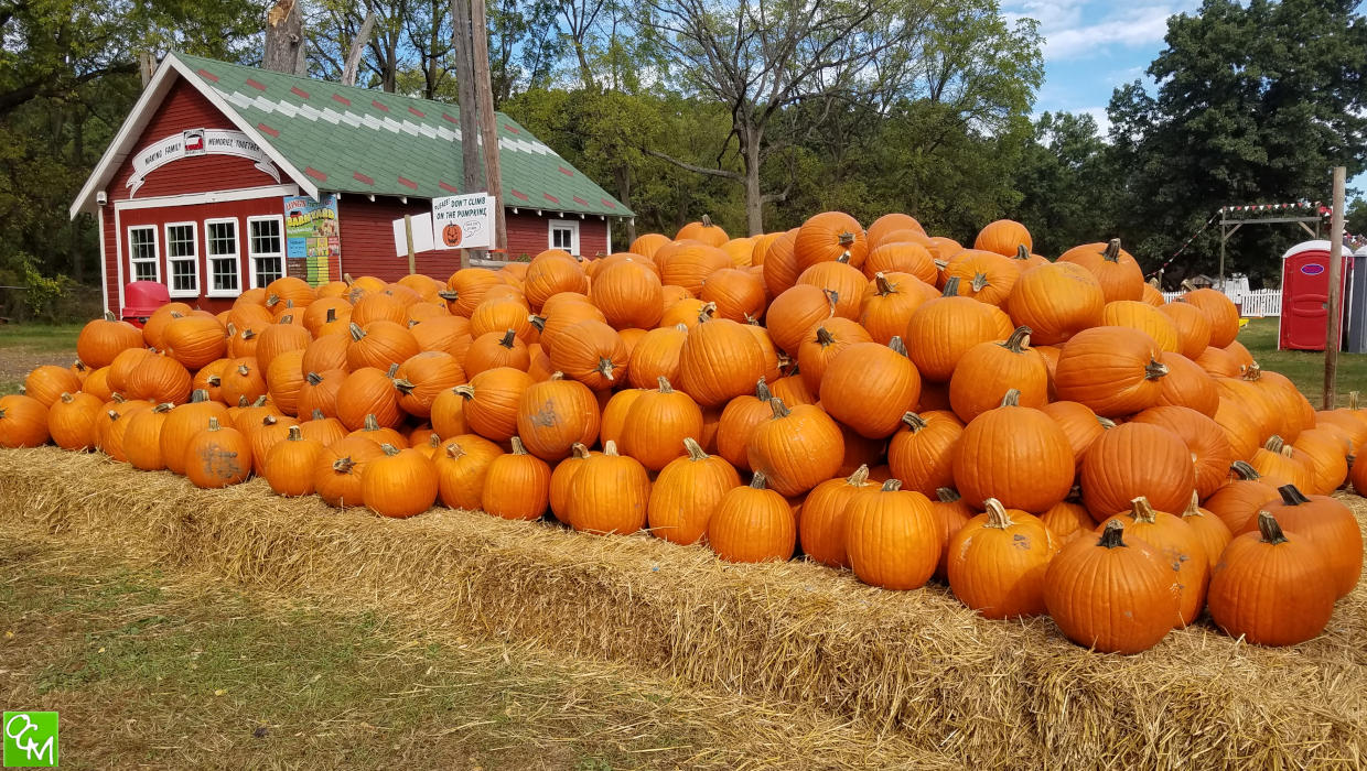 Long Family Orchard Cider Mill