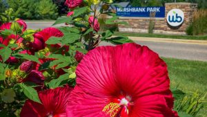 Marshbank Park West Bloomfield Review / Pics / Marshbank Park Events
