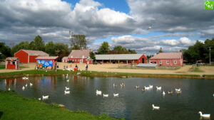 Upland Hills Farm Oxford Fall Harvest Festival Weekends