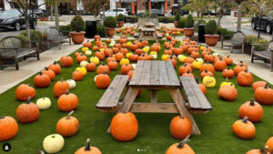 Village of Rochester Hills Events Calendar 2025