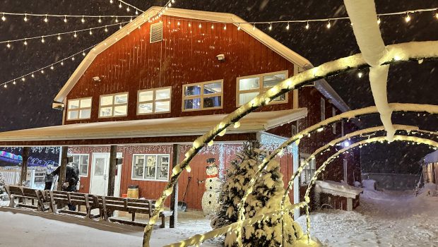 Winter Festivals Metro Detroit 2025 / Metro Detroit Winter Festivals Calendar