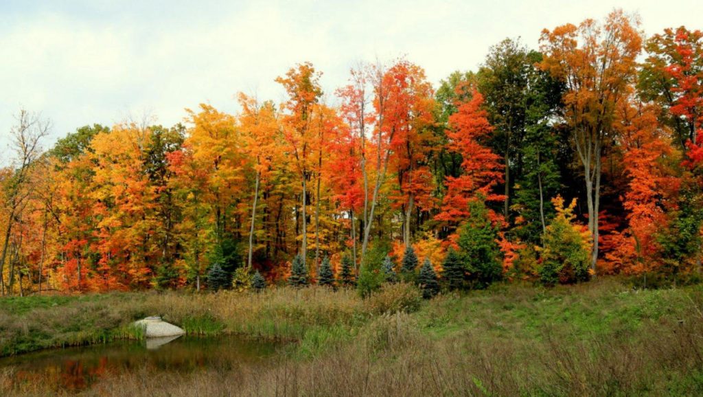 Oakland County Parks Free Admission Days 2024