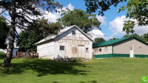 Stony Creek Orchard Cider Mill Romeo Pics Review