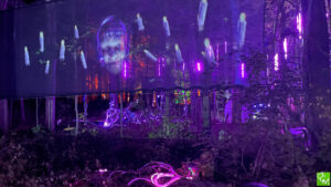 Glenlore Trails Commerce Twp Aurora Pics / Enchanted Pics