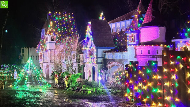 HollyDazzle Michigan Renaissance Festival Christmas Lights