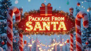 Package From Santa - Review / Santa Claus Subscription Box