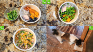 DIY Farmer's Dog Food Recipe