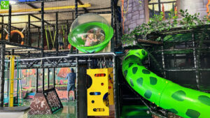 Indoor Playgrounds in Metro Detroit / Metro Detroit Indoor Playgrounds and Playscapes