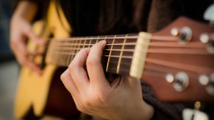 South Lyon Concerts at McHattie Park 2025 / South Lyon Summer Concerts / McHattie Park Concerts